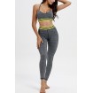 Gray Contrast Stripe Back Mesh Shaping Hip Sports Bra Leggings Set